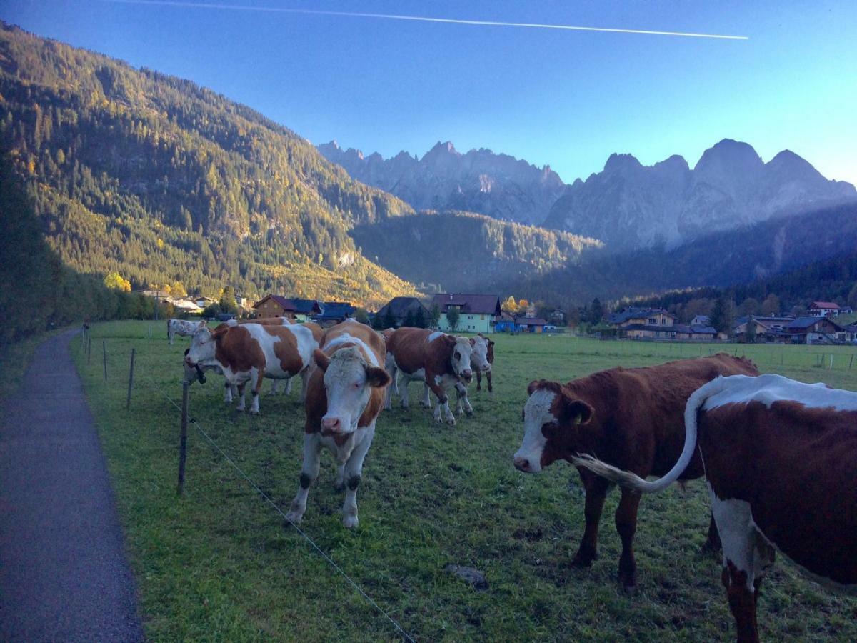 Dachstein Mountainview Gosau Appartement Buitenkant foto